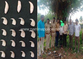 ಚಿರತೆ ಉಗುರು, ಹಲ್ಲು ಸಾಗಿಸುತ್ತಿದ್ದ ವ್ಯಕ್ತಿ ಅರೆಸ್ಟ್