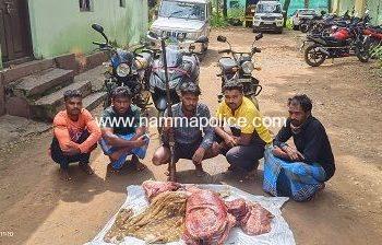 ಜಿಂಕೆ ಕೊಂದು ಮಾಂಸ ಮಾರಾಟಕ್ಕೆ ಯತ್ನ ಐವರ ಬಂಧನ