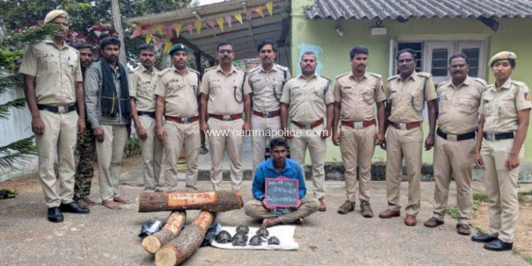 ಬಂಡೀಪುರದ ಅರಣ್ಯಕ್ಕೆ ಅಕ್ರಮ ಪ್ರವೇಶ 6 ಆಮೆ ವಶ