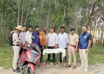 ಬಾಗಲೂರಿನಲ್ಲಿ 2 ಕೆ.ಜಿ. ಎಂಡಿಎಂಎ ವಶ, ಓರ್ವ ವಿದೇಶಿ ಪ್ರಜೆಯ ಬಂಧನ, ಎನ್ ಡಿ ಪಿ ಎಸ್ ಕಾಯ್ದೆಯಡಿ ದಾಖಲಾದ ಪ್ರಕರಣ